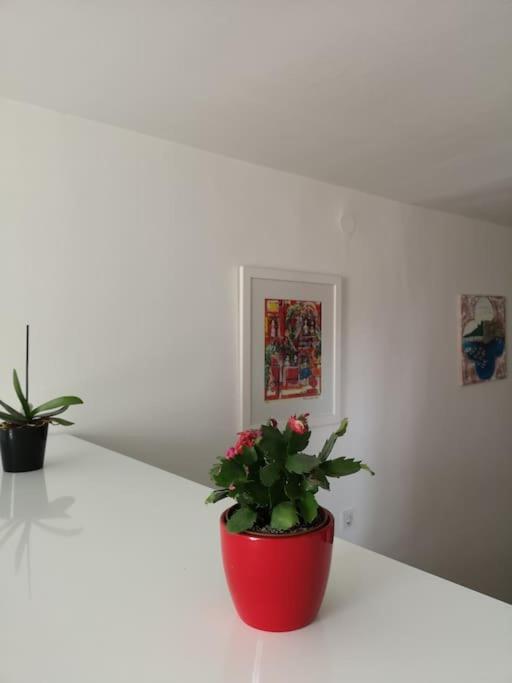 Apartma Ivana - New Sweet